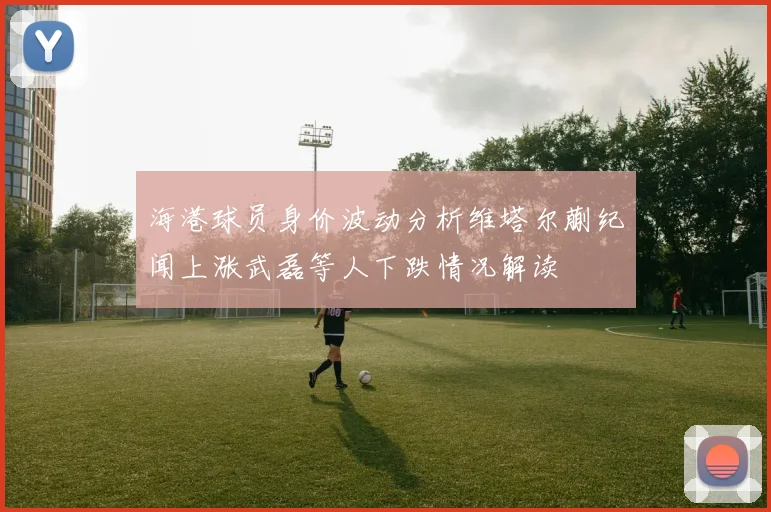 海港球员身价波动分析维塔尔蒯纪闻上涨武磊等人下跌情况解读